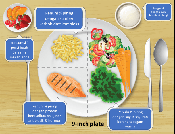 Proporsi makan harian